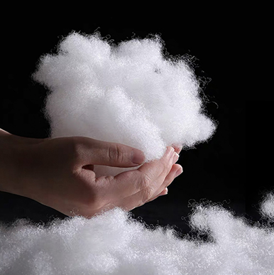 Co Cos leapa Tongxiang Xinlong, Ltd.